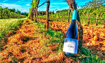 Quinta da Biaia
