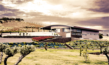 Quinta Vale D'Aldeia - Rum