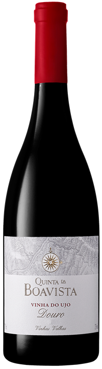 Garrafa VINHA DO UJO 2016