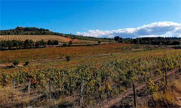 Quinta da Biaia