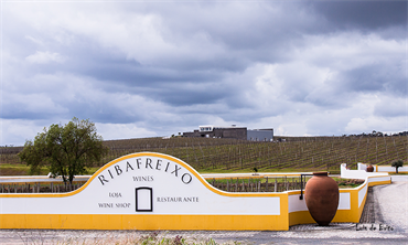 Ribafreixo Wines