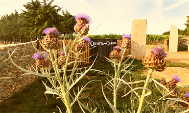 Quinta do Cardo