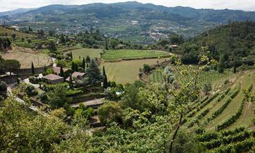 Quinta de Covela